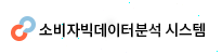 소비자 빅데이터 분석 시스템
